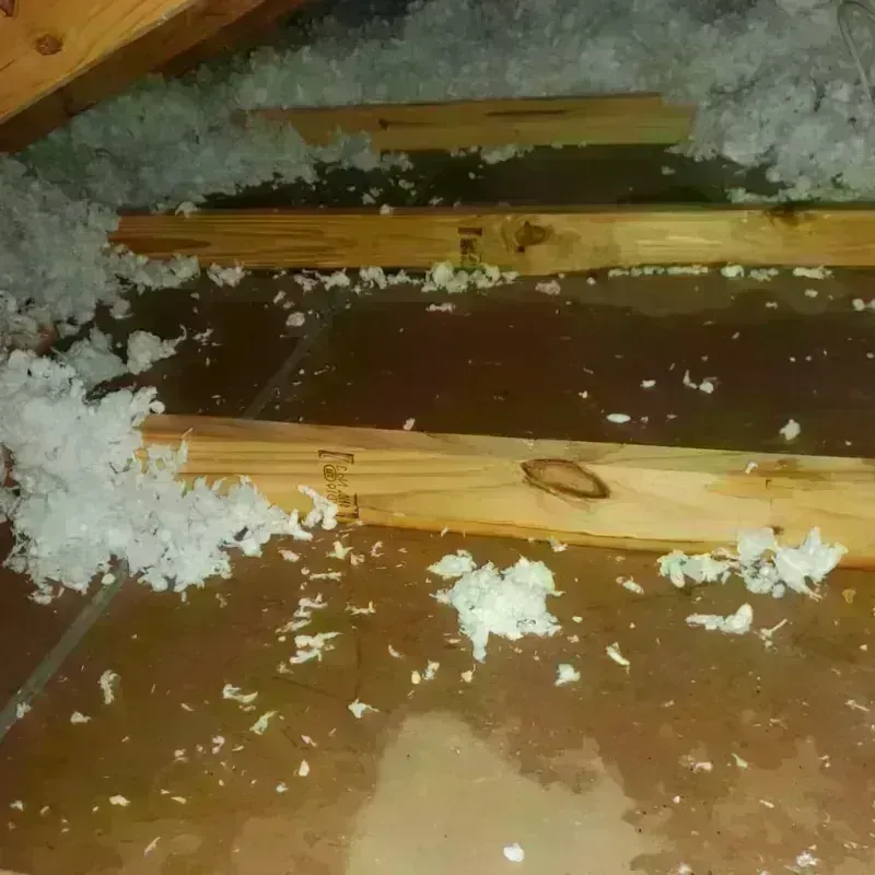 Attic Water Damage in Whitewright, TX