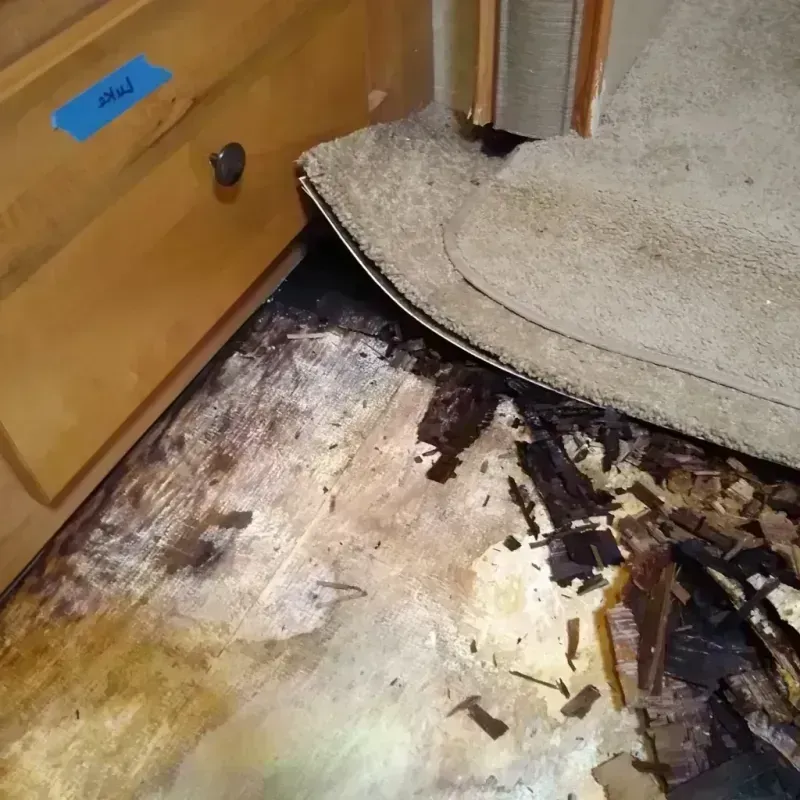 Wood Floor Water Damage in Whitewright, TX